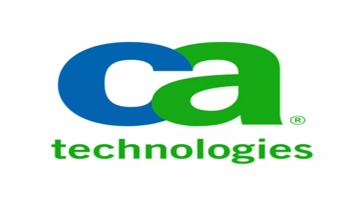 CA partners upbeat about IT spending in 2011