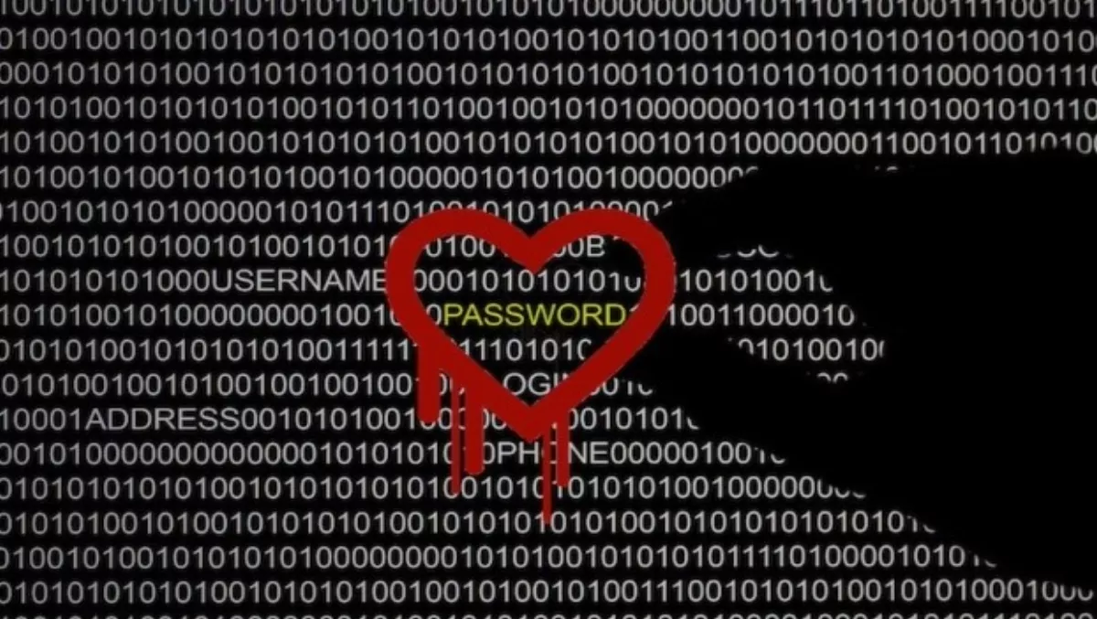Are vulnerabilities really a risk or simply hype?