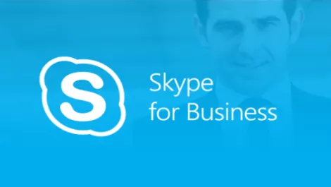 Skypebiz