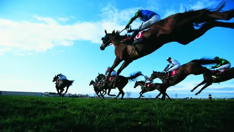 The threatening cyber landscape of the Melbourne Cup