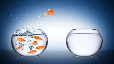 'Courageous leadership' needed in sea of disruption, says exec
