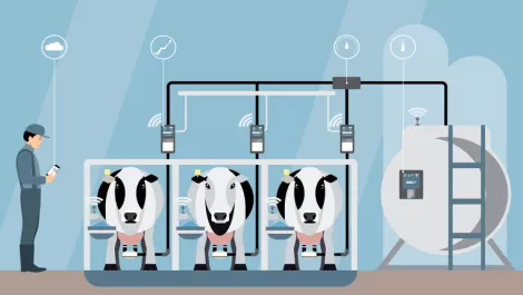 How AI and IoT will help NZ meet increasing food demands