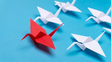 Thinkstockphotos 510801098